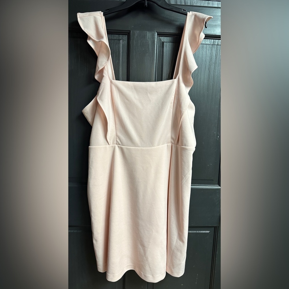 NWT BCBG Paris Short Ruffle Dress Light Pink Lined Women’s Size XXL/20